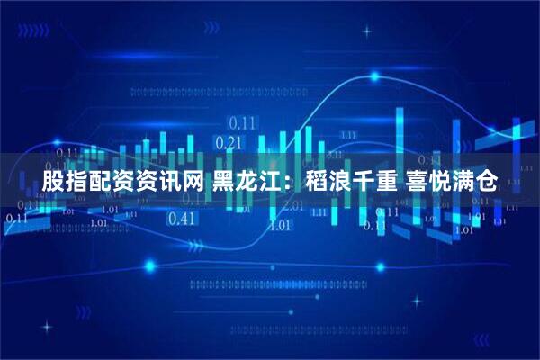 股指配资资讯网 黑龙江：稻浪千重 喜悦满仓