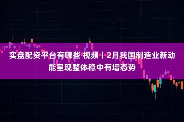 实盘配资平台有哪些 视频丨2月我国制造业新动能呈现整体稳中有增态势